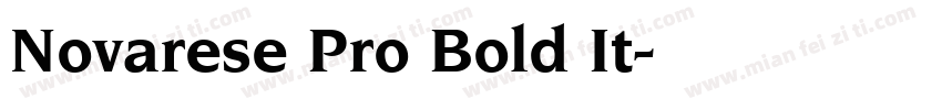 Novarese Pro Bold It字体转换